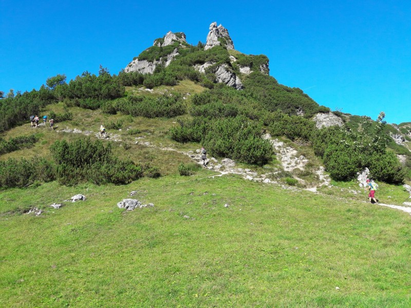 wilder-kaiser-grüne-wiese